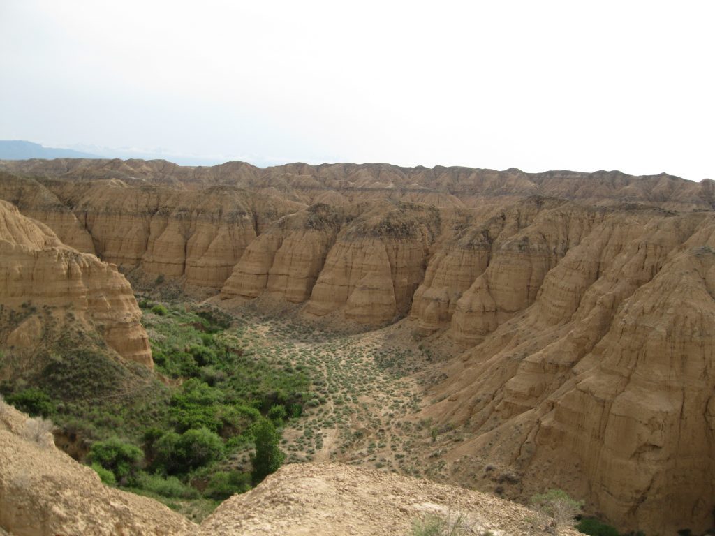 Вид на Чарынского каньон